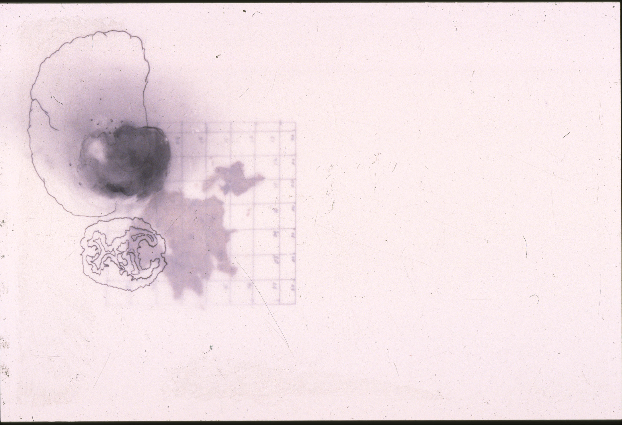 Mapping of Memories Series No. 4, graphite on Mylar, 9 x 12 inches, 2001